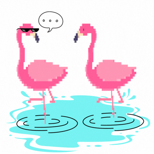 pixel flamingos exchanging information